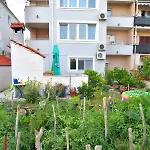 Red Rose Apartament